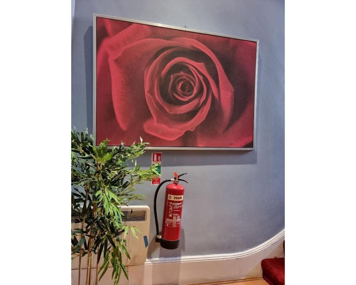 F301-Awesome 3Rd Flr Studio Fits 1 Near Hyde Park Londen Buitenkant foto